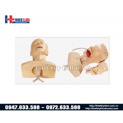 Mô hình thực hành hút đờm dãi đường hô hấp